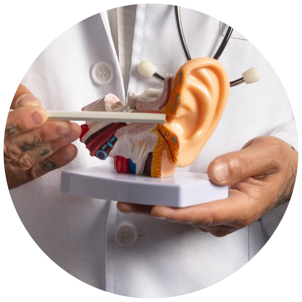 Expert ENT Billing and Coding Services for Otolaryngology Practices